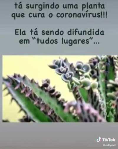 esse lugar ja foi melhor