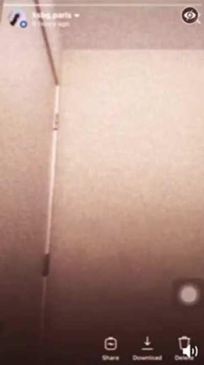 Accidentally shoots friend and herself while live.