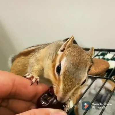 Knock knock, who's hungry?