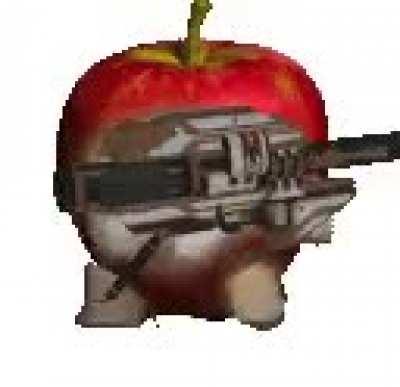 me after obtaining the gjallarhorn for the 3rd time on december 7th