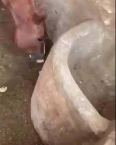 nature is fucking metal