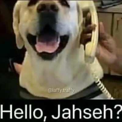 Hello, jahseh?