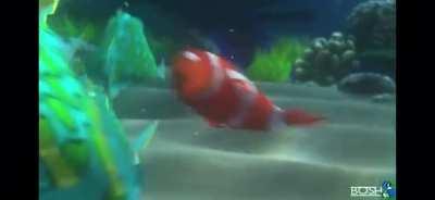 They did take his sus doe