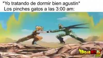 Basado en echos reales