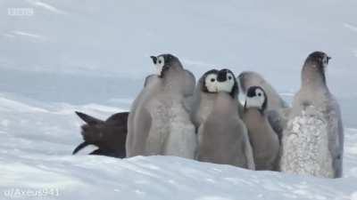 If Spy in the Snow had MORDHAU voices (inspires by Grizzled Wizzard) (reuploaded on Reddit due to YouTube copyright claims)