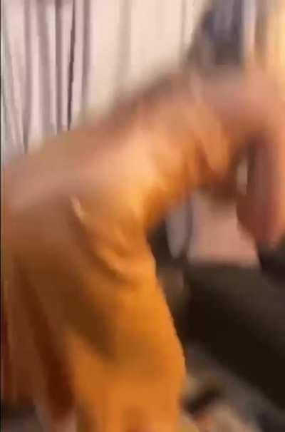 HMC while I show you my moves