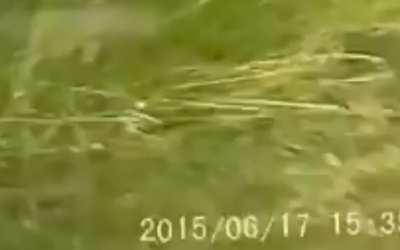 Russia: Lada hits a car