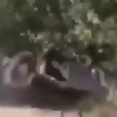 CrazyHuman - Video #1902