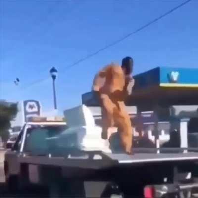 BITCH I'M BACK OUT MY COMA