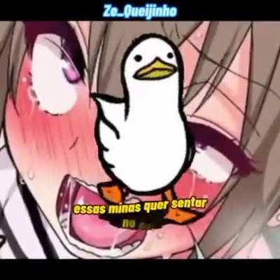 S E N S A C I O N A L 😳