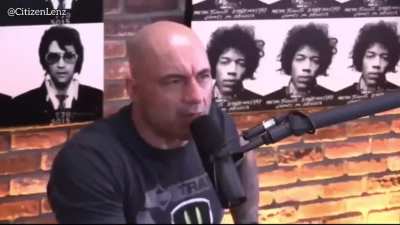 Still have superior genes saar