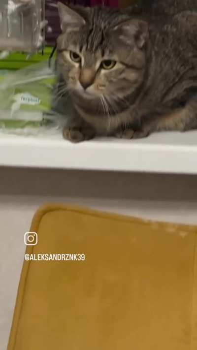Aspetto che sia ubriaco.