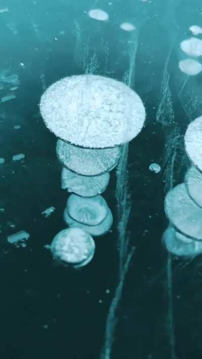 🔥 A endless expanse of of frozen methane bubbles, filmed on Abraham Lake in Alberta, Canada.