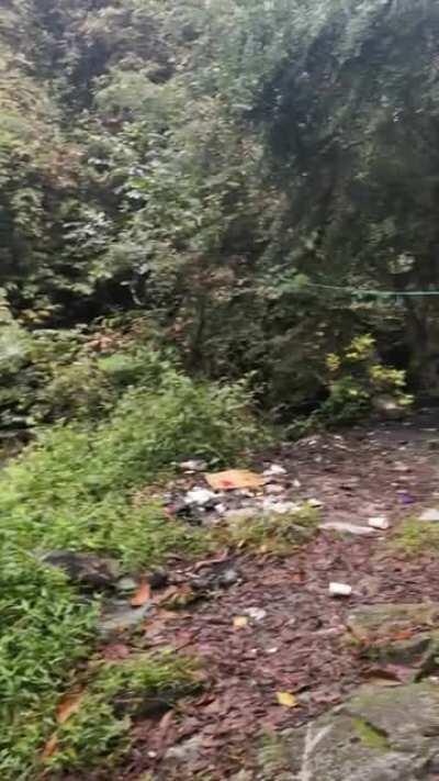 Malaysia boleh! Yeap, even my eyes are cursing right now.