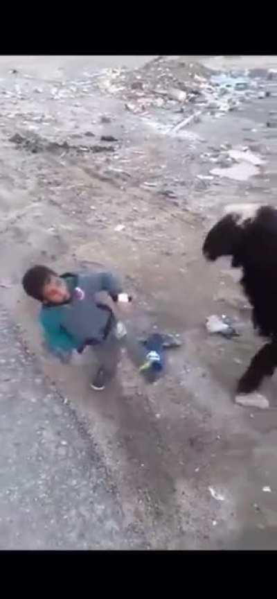 Fucked around and found out