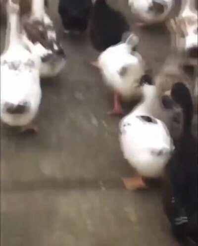 There’s always one that stands out in the crowd.