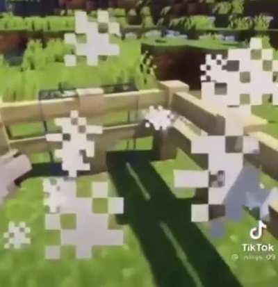 Nice moment right here