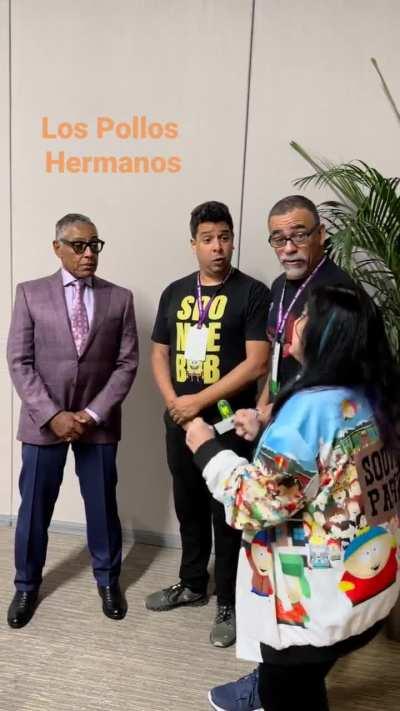 Pollos hermanos🐔🐔