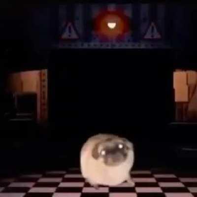 Everyone when this subreddit got hacked