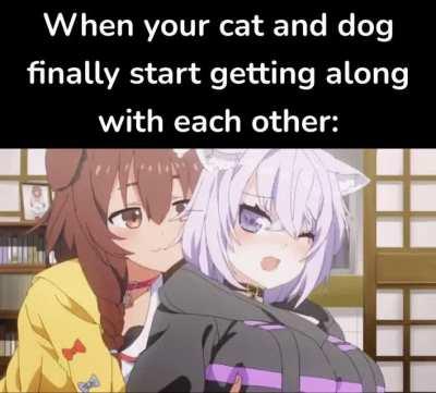 So cute when they play together