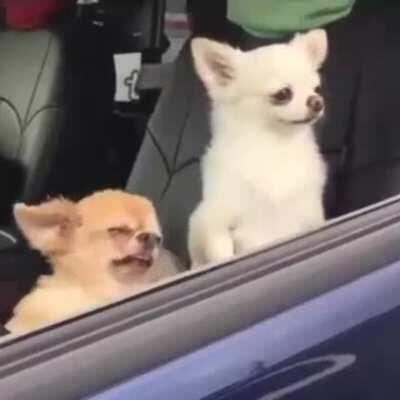 Diferencia de comenzar el día con y sin café