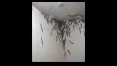 Most hygienic South-Asian public toilet.