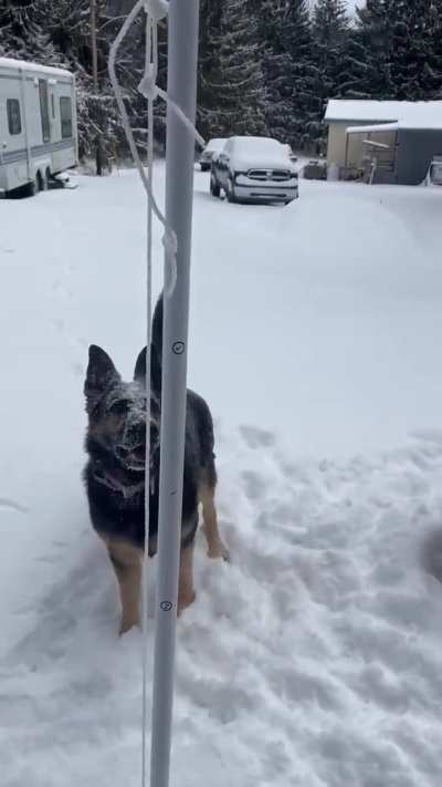 When she goes outside with Dad.