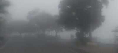 lake view - 16/01/2022