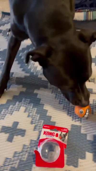 Unboxing new Kong toy