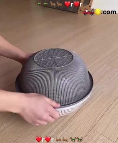 Wunkstronaut training