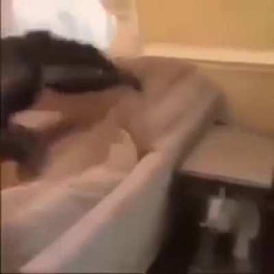 mucalol? pq fez isso? a gente te amava....