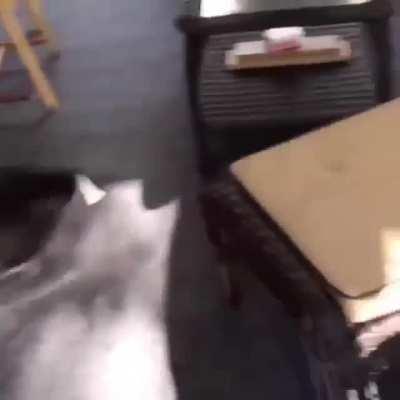 My all time favourite gif. Sorry if it's a repost