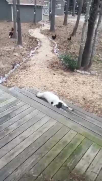 “Let me just act dead real quick”