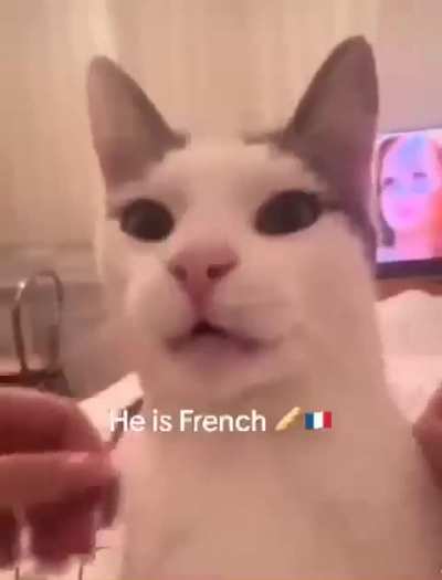 Le meux…or some shit