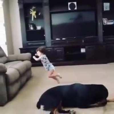 TOdlEr gEtS BrUtAlLy MuRdErEd