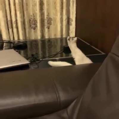 What’s down there?