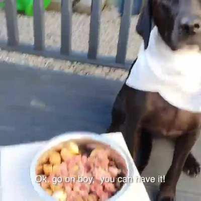 Samwise the best black lab doggo gets a special treat for his 4th birthday