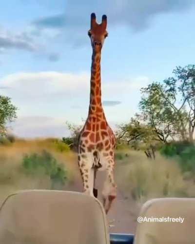 This woman looks terrified