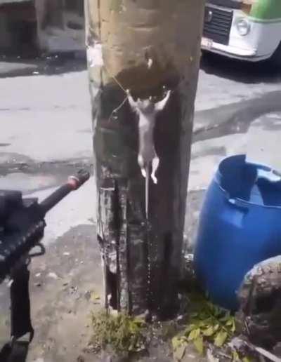 Luangameplay666 - Video #9245