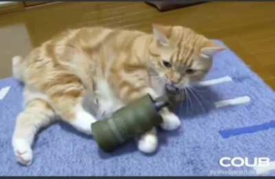 That's a strange looking toy you got there Garfield