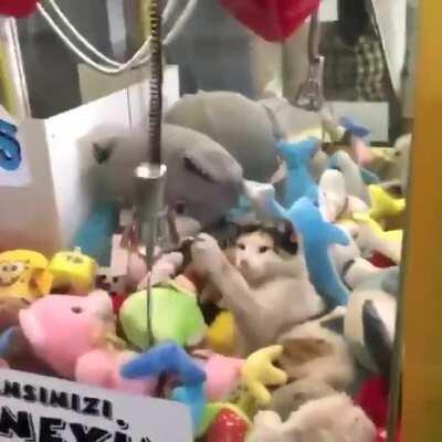 That little gremlin that is definitely hiding in the claw machine pulling down on all the plushies so I can’t get them