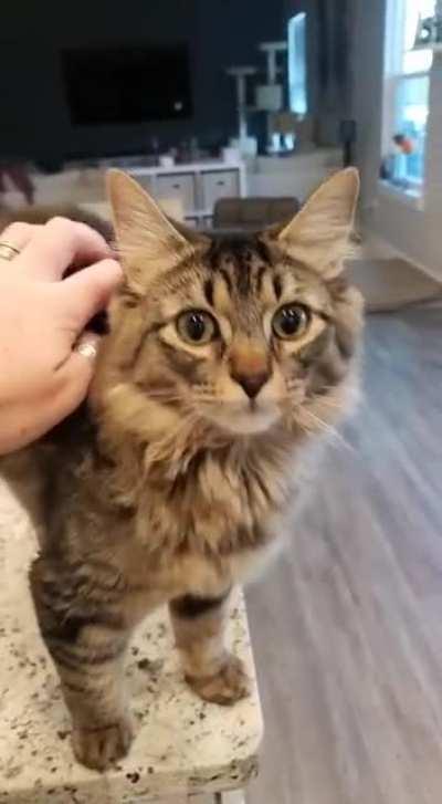 Good morning form Cosmo!