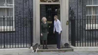 Even the chief mouser at no 10 has had enough!