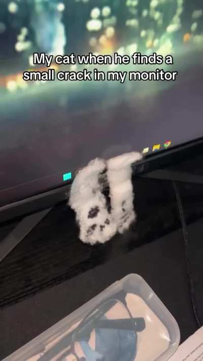 Wunk gets inside the matrix