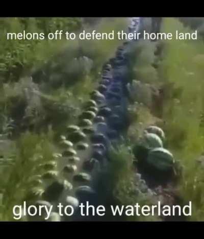 watermelon army