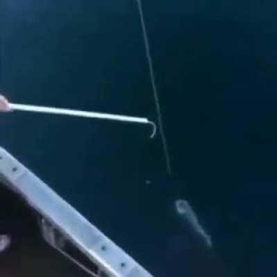 A very American way of fishing