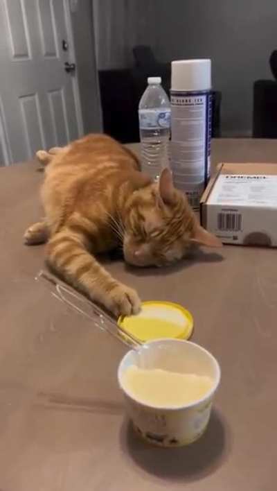 Garfield is that you?!