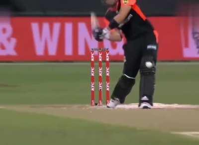 Stones not living anymore