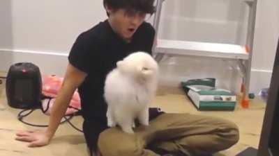 It’s like temmie chose Michael to be Lily’s boyfriend