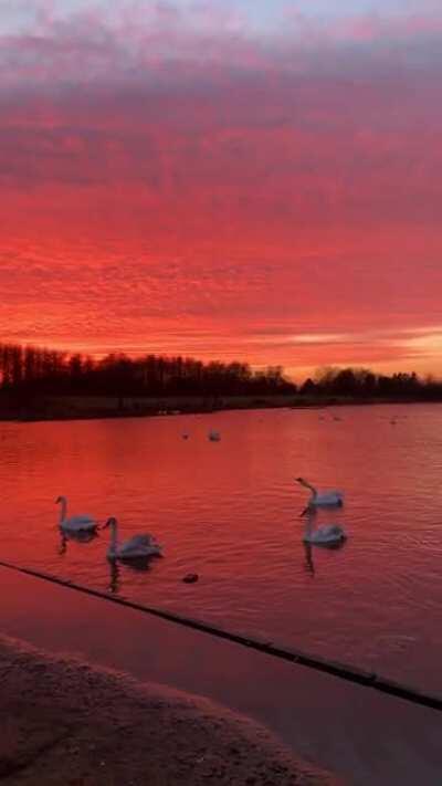 Sunset in Glasgow tonight